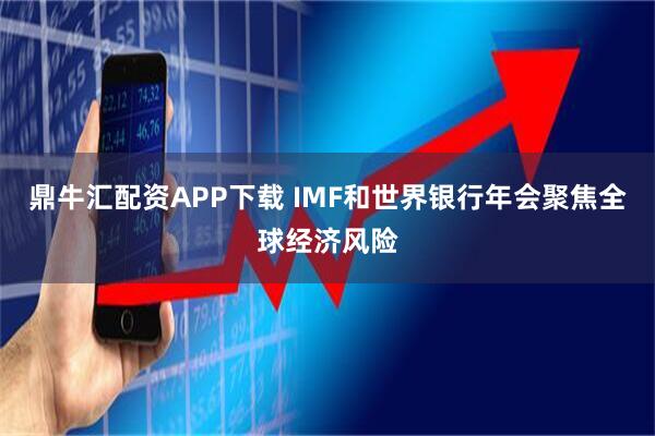 鼎牛汇配资APP下载 IMF和世界银行年会聚焦全球经济风险