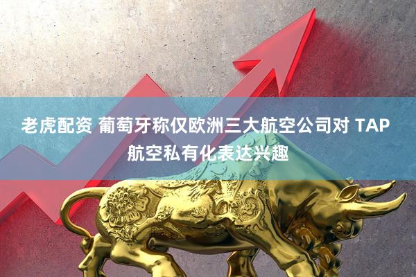 老虎配资 葡萄牙称仅欧洲三大航空公司对 TAP 航空私有化表达兴趣
