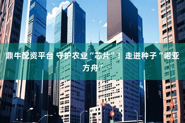 鼎牛配资平台 守护农业“芯片”！走进种子“诺亚方舟”